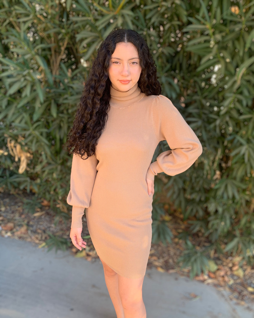 Victoria Sweater Dress